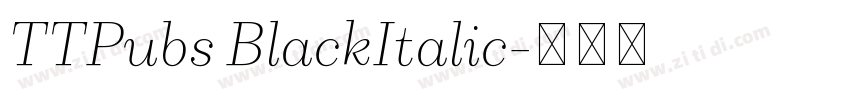TTPubs BlackItalic字体转换